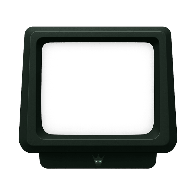 SlavySoft